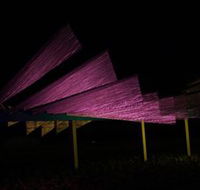 Public Art Wagga Wagga - Accommodation BNB