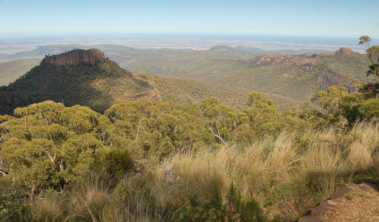 Kaputar NSW Accommodation BNB