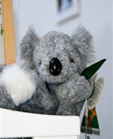 Timboon Toybox - Accommodation BNB 0