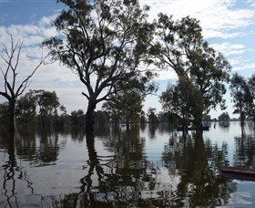 Doodle Cooma Swamp - Accommodation BNB 1