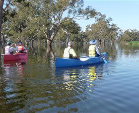 Doodle Cooma Swamp - Accommodation BNB 0