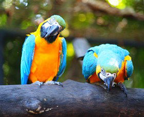 The Rockhampton Zoo - Accommodation BNB 2