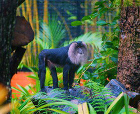 The Rockhampton Zoo - Accommodation BNB 3