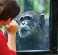 The Rockhampton Zoo - Accommodation BNB