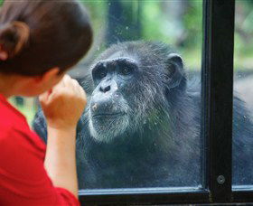 The Rockhampton Zoo - Accommodation BNB 0