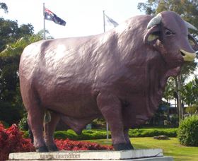 Rockhampton Bull Statues - Accommodation BNB 0
