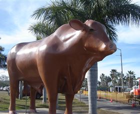 Rockhampton Bull Statues - Accommodation BNB 3