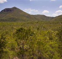 Kutini-Payamu Iron Range National Park CYPAL - Accommodation BNB