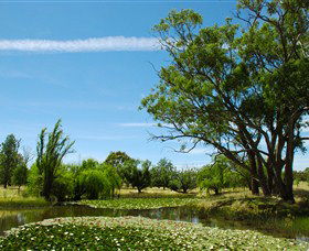 Wirraminna Environmental Education Centre - Accommodation BNB 0