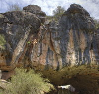 Borenore Karst Conservation Reserve - Accommodation BNB