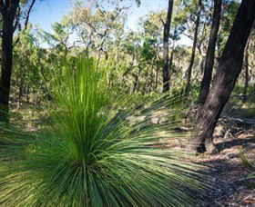 Brisbane Ranges National Park - Accommodation BNB 0