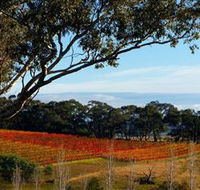 Bloodwood Estate - Accommodation BNB