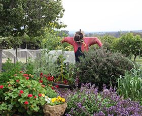 Samaria Farm - Accommodation BNB 4