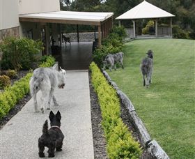 Otway Estate - Accommodation BNB 5