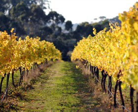 Otway Estate - Accommodation BNB 6