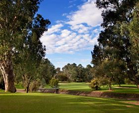 Commercial Golf Course - Accommodation BNB 0