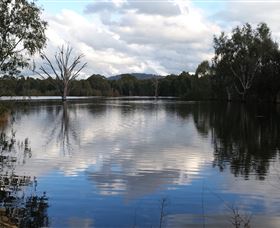 Wonga Wetlands - Accommodation BNB 1