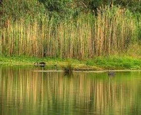 Wonga Wetlands - Accommodation BNB 2