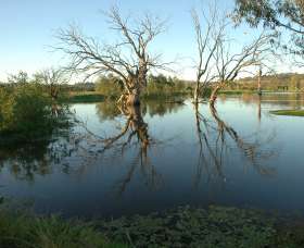 Wonga Wetlands - Accommodation BNB 4