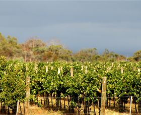 Amulet Vineyard And Beechworth Cider - Accommodation BNB 7