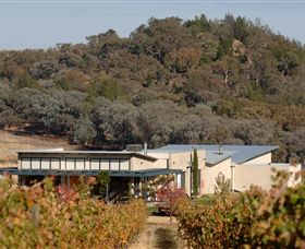 Amulet Vineyard And Beechworth Cider - Accommodation BNB 8