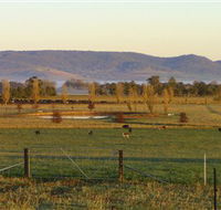 Holbrook Landcare Self-Drive Eco Tour - Accommodation BNB
