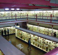 National Museum of Australian Pottery - Accommodation BNB