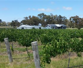 Short Sheep Micro-Winery - Accommodation BNB 1