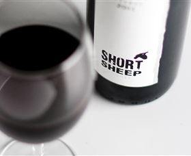 Short Sheep Micro-Winery - Accommodation BNB 4
