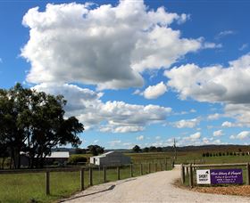 Short Sheep Micro-Winery - Accommodation BNB 8