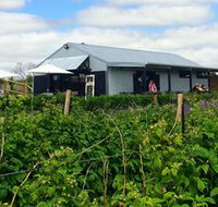Ravens Creek Farm - Accommodation BNB
