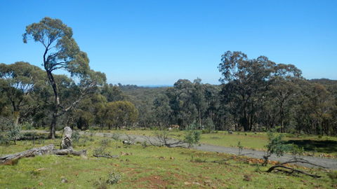 Bald Hill Lookout - Accommodation BNB 0