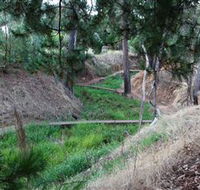 Lions Club Bicentennial Walk - Accommodation BNB