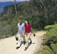 Blue Mountains Walking Tracks - Accommodation BNB