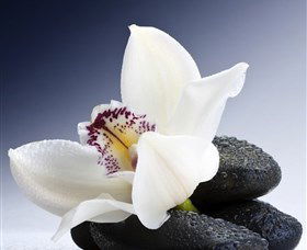 H2O Spa - Accommodation BNB 1