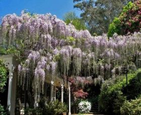 Nooroo Gardens - Accommodation BNB 0