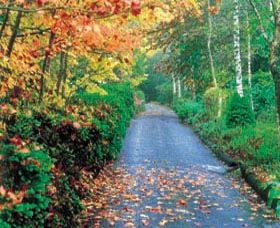 Mount Wilson And Mount Irvine - Accommodation BNB 0