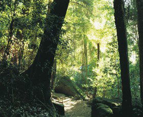 Blue Mountains National Park - Accommodation BNB 5