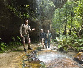 Blue Mountains National Park - Accommodation BNB 3