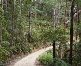 Blue Mountains National Park - Accommodation BNB 8