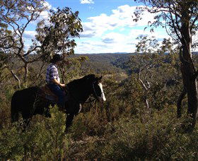 Chapman Valley Horse Riding - Accommodation BNB 2