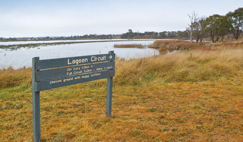 Lagoon Circuit Walking Track - Accommodation BNB 0
