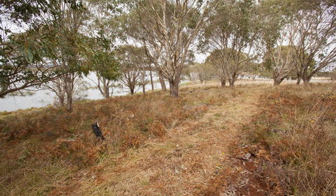 Lagoon Circuit Walking Track - Accommodation BNB 1