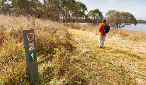 Lagoon Circuit Walking Track - Accommodation BNB 2
