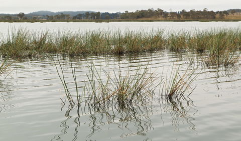 Lagoon Circuit Walking Track - Accommodation BNB 3