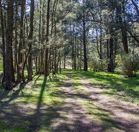 Wombeyan Waterfall walking track - Accommodation BNB