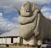 Big Merino - Accommodation BNB
