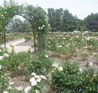 Victoria Park Rose Garden - Accommodation BNB