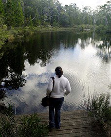 Boonoo Boonoo Falls National Park - Accommodation BNB 1
