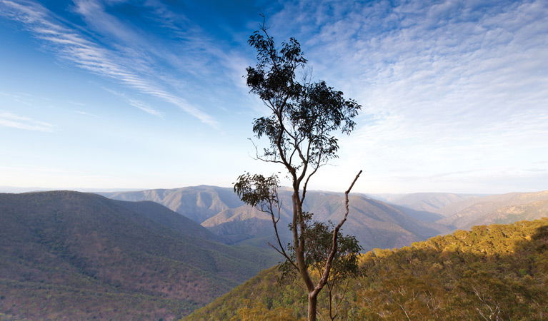 Mihi NSW Accommodation BNB